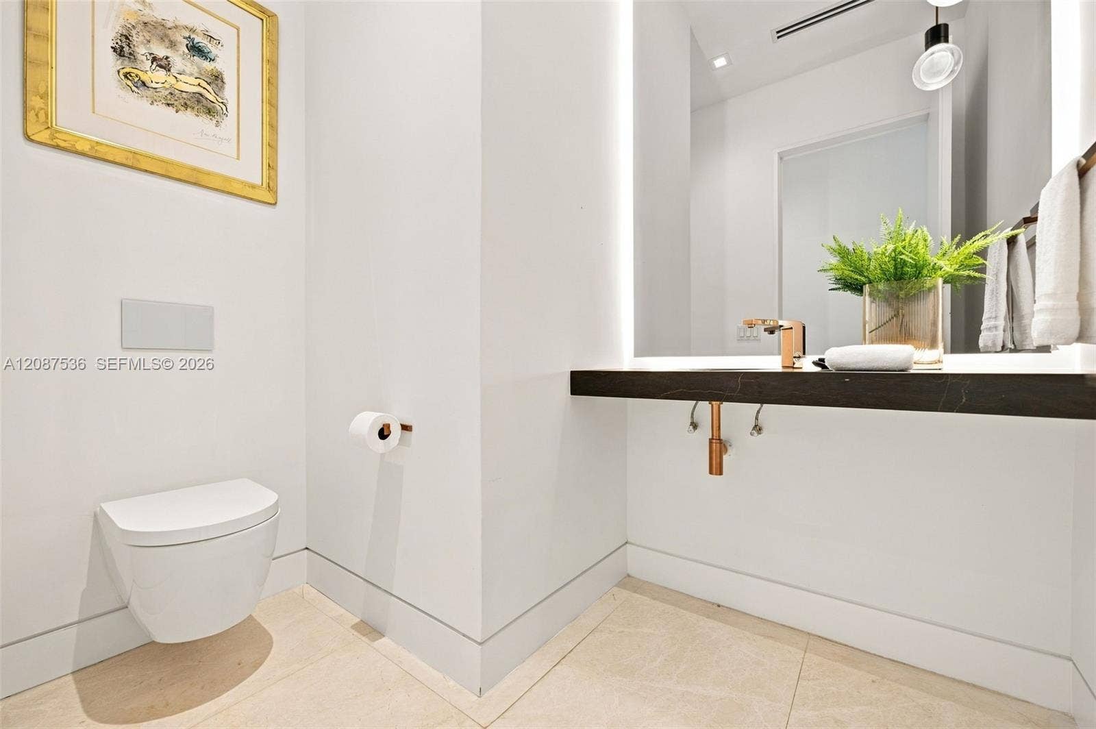 8920 SW 96th Street, Miami, FL 33176 Powder room