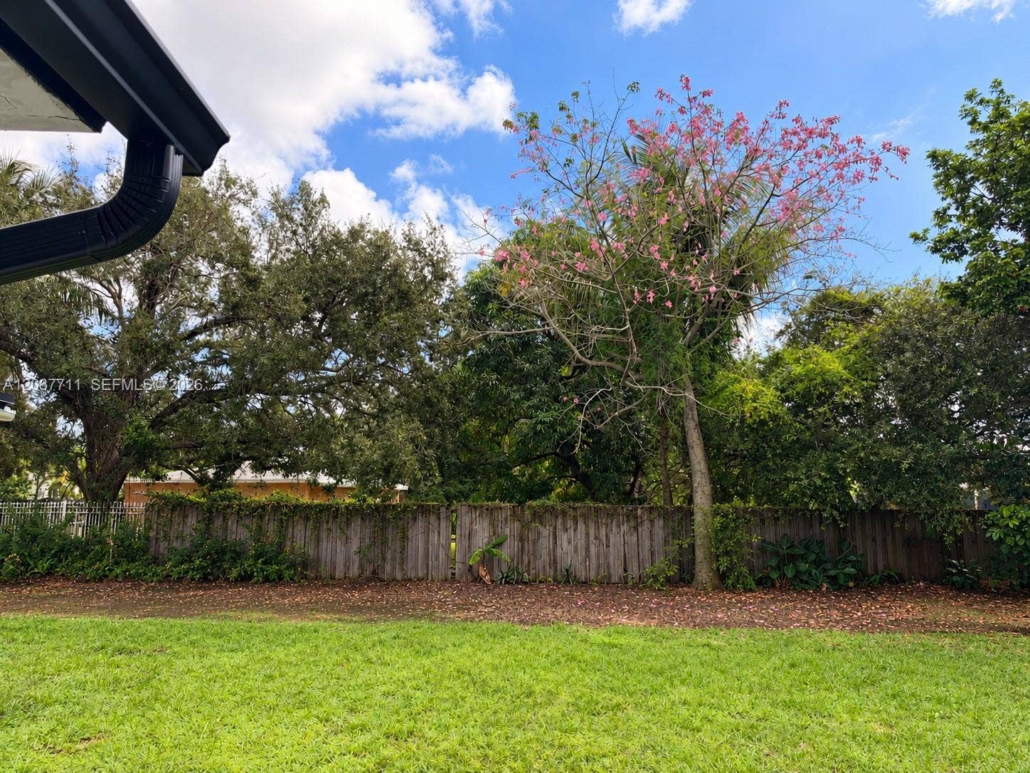 80 NE 162nd Street, Miami, Miami, FL 33162 Expansive backyard featuring a level lawn, tall privacy fencing, and mature canopy trees