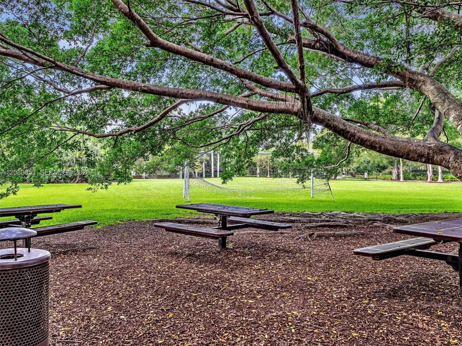 523 Stonemont Drive, Weston, FL 33326 Picnic area ideal for outdoor dining and celebrations, shaded by a large tree