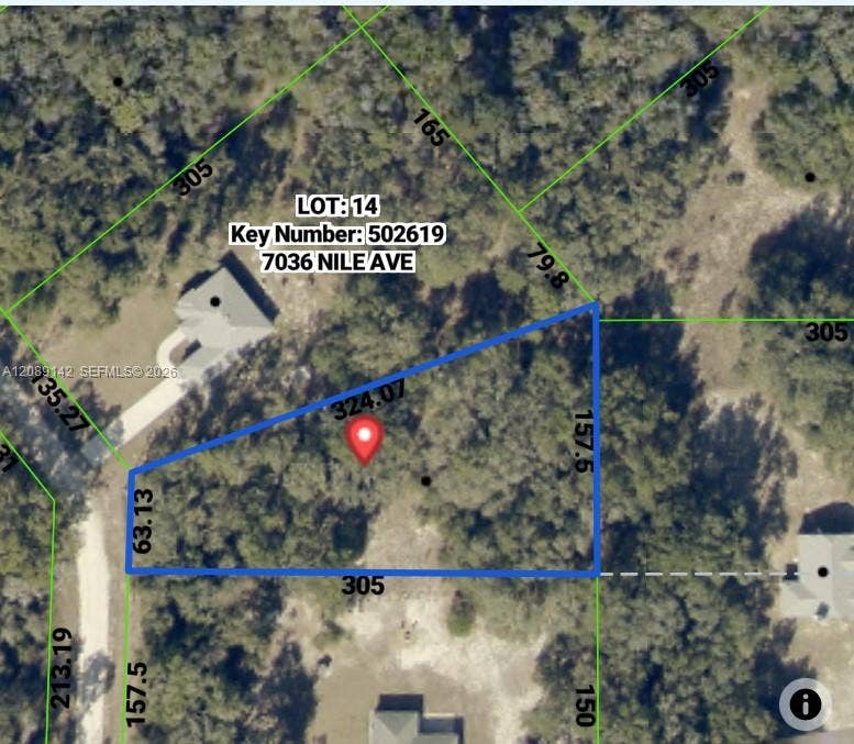 Property photo for 0 Nile Avenue, Webster, FL