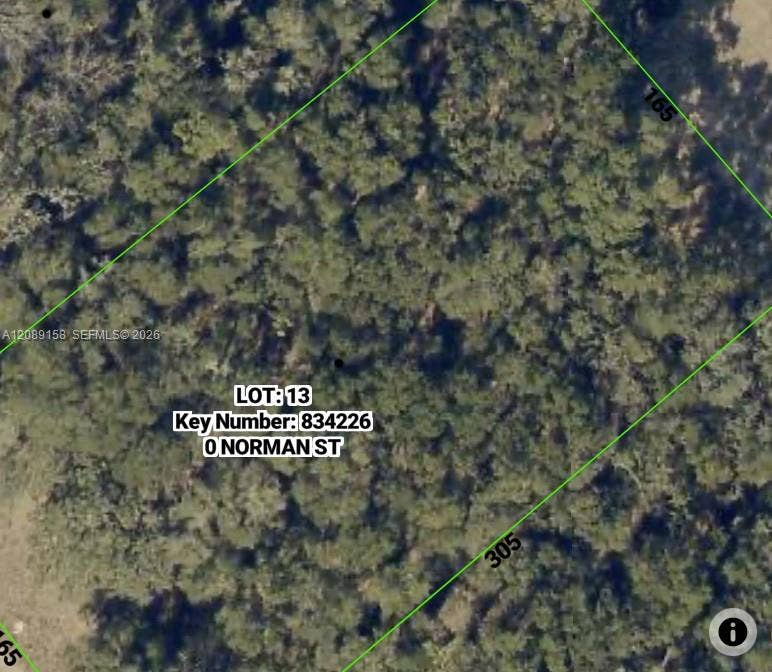 Property photo for 0 Norman Street, Webster, FL