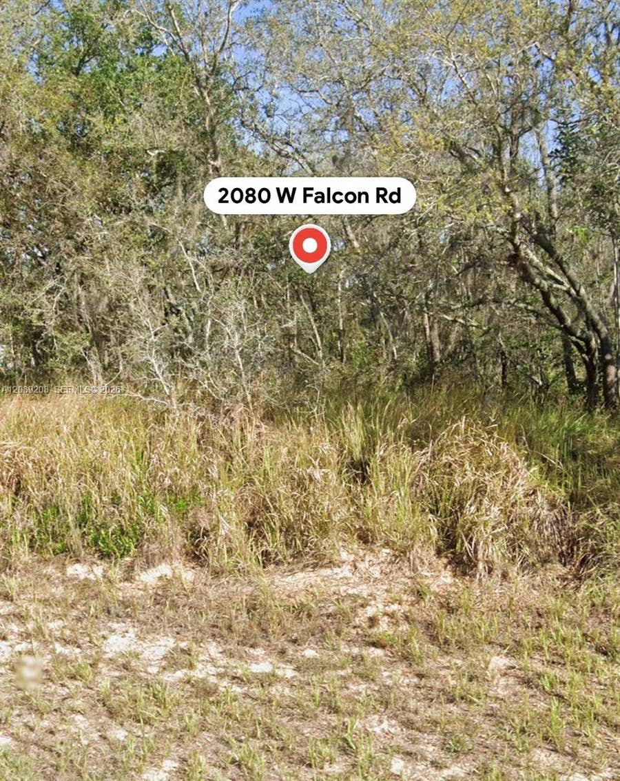 Property photo for 2080 W Falcon Road, Avon Park, FL