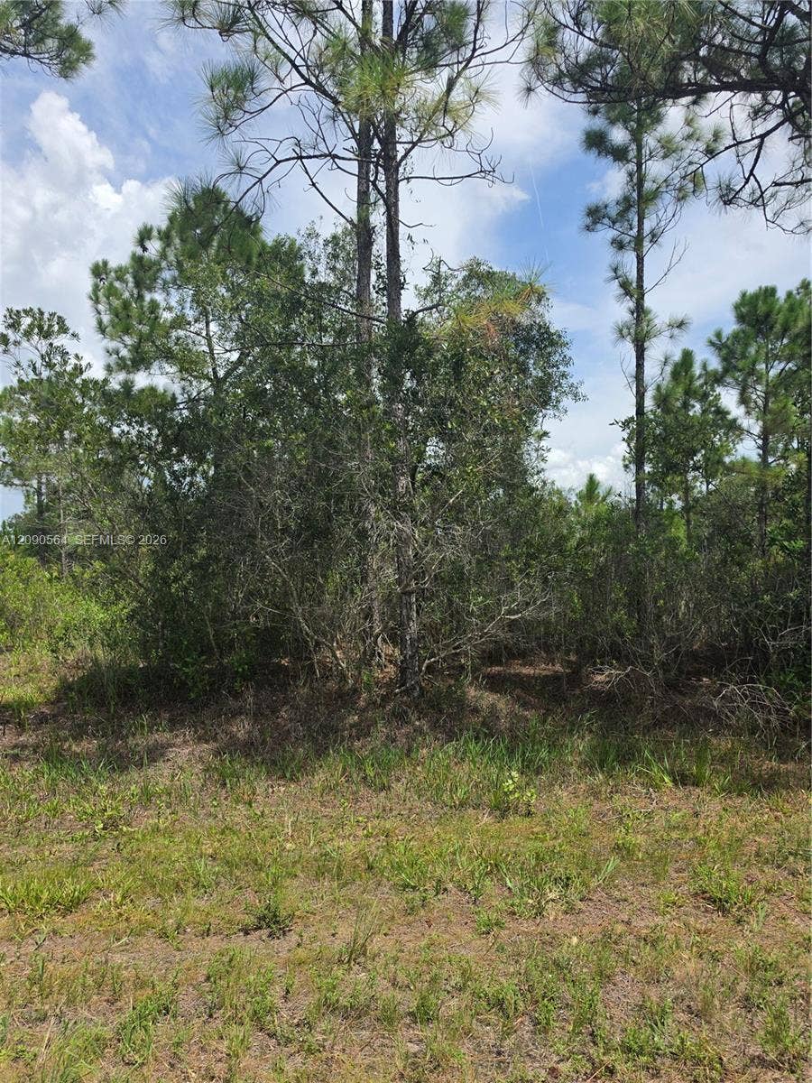 Property photo for 0 Tropicana, FL
