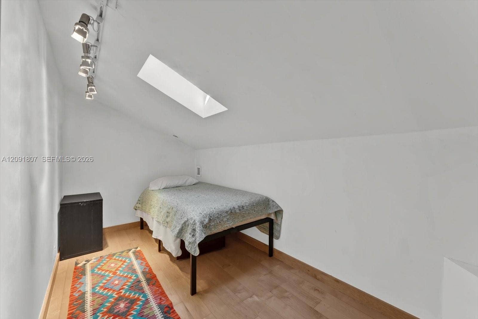 Vaulted ceiling featuring a skylight and multi-bulb adjustable track lighting, finished with wood-plank flooring