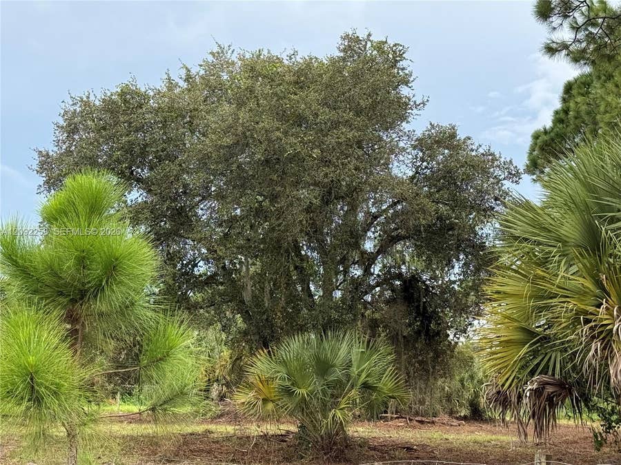 Property photo for 380 S Lindero Street, Clewiston, FL