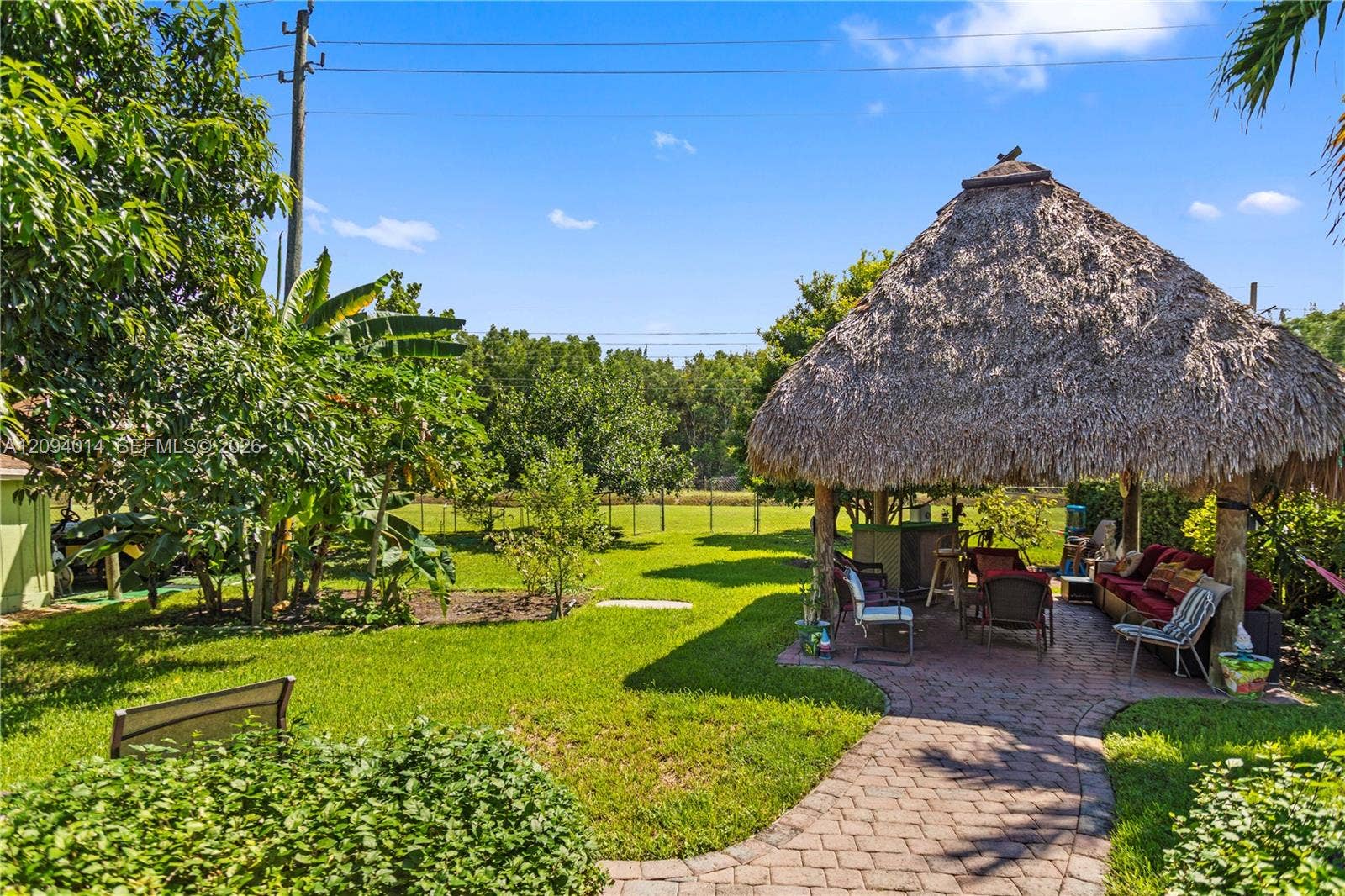 Photo 46