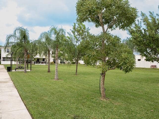 Expansive grounds featuring a manicured lawn, mature trees, ornamental palms, and a concrete walkway