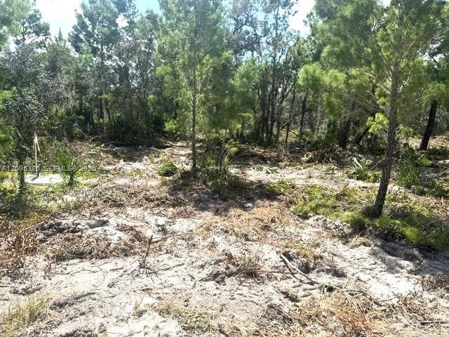 Property photo for 206 Oriole Avenue, Sebring, FL