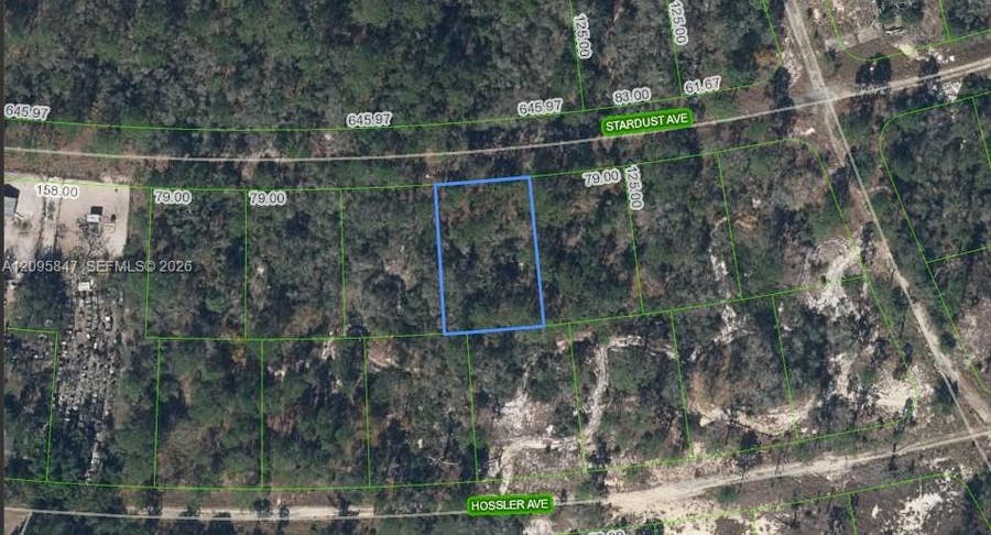 Property photo for 365 Stardust Avenue, Lake Placid, FL