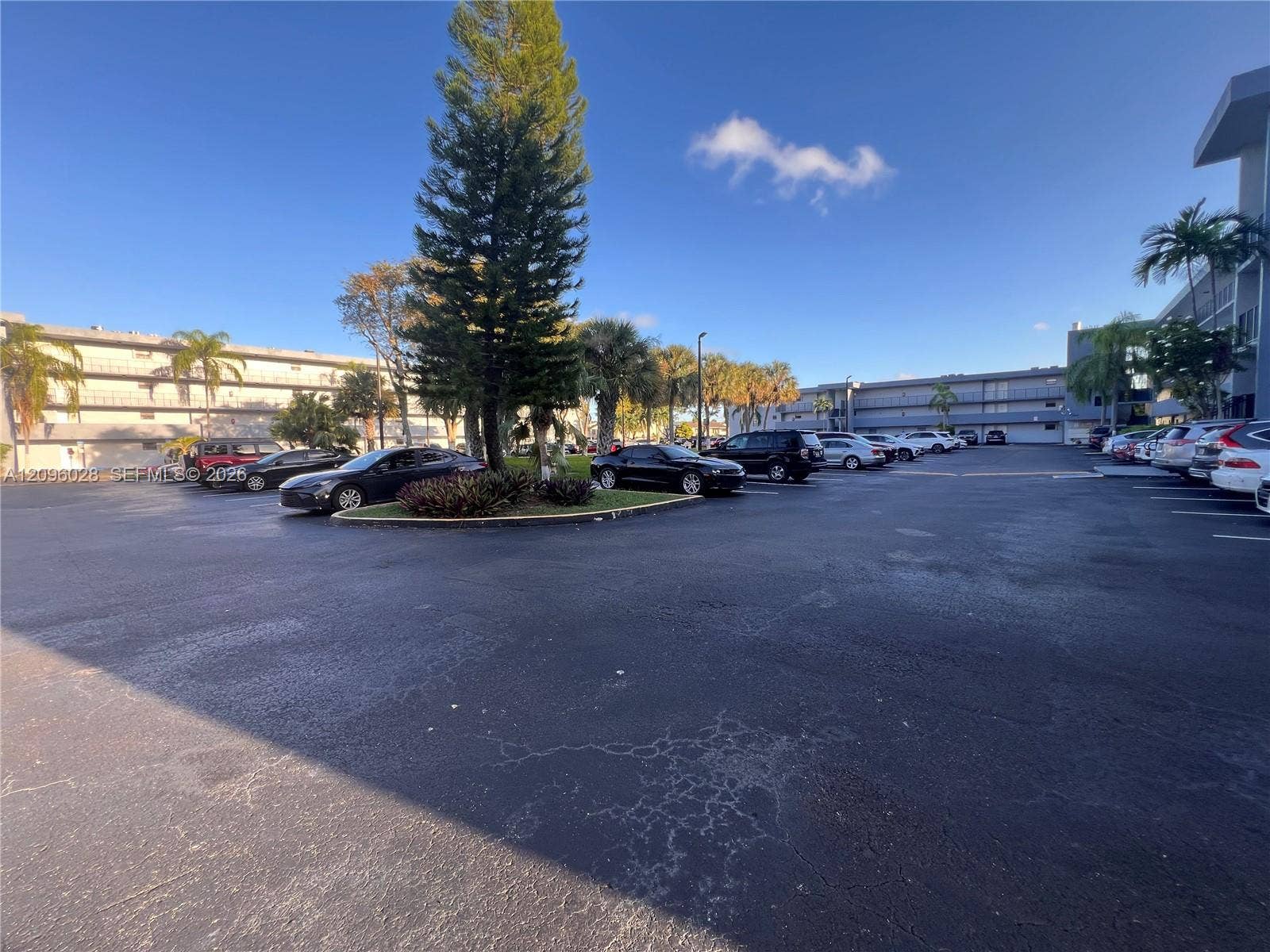 6300 SW 138th Court, #405, Miami, FL 33183 Surface parking lot featuring asphalt paving and landscaped islands with mature palms and coniferous trees