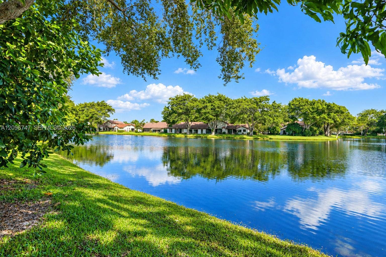3237 Deer Creek Lake Shore Drive, Deerfield Beach, FL 33442 Avocado and Mango trees