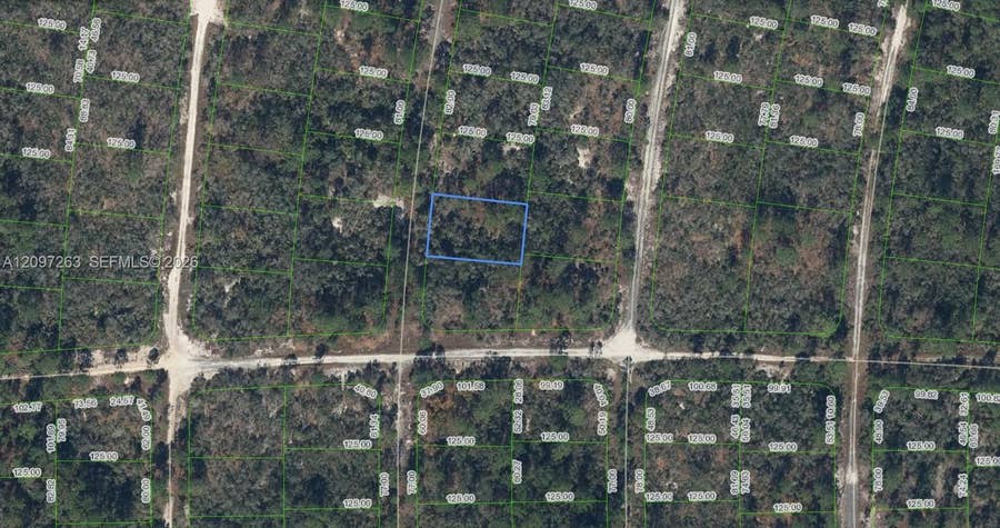 Property photo for 305 Blue Heaven Drive, Lake Placid, FL