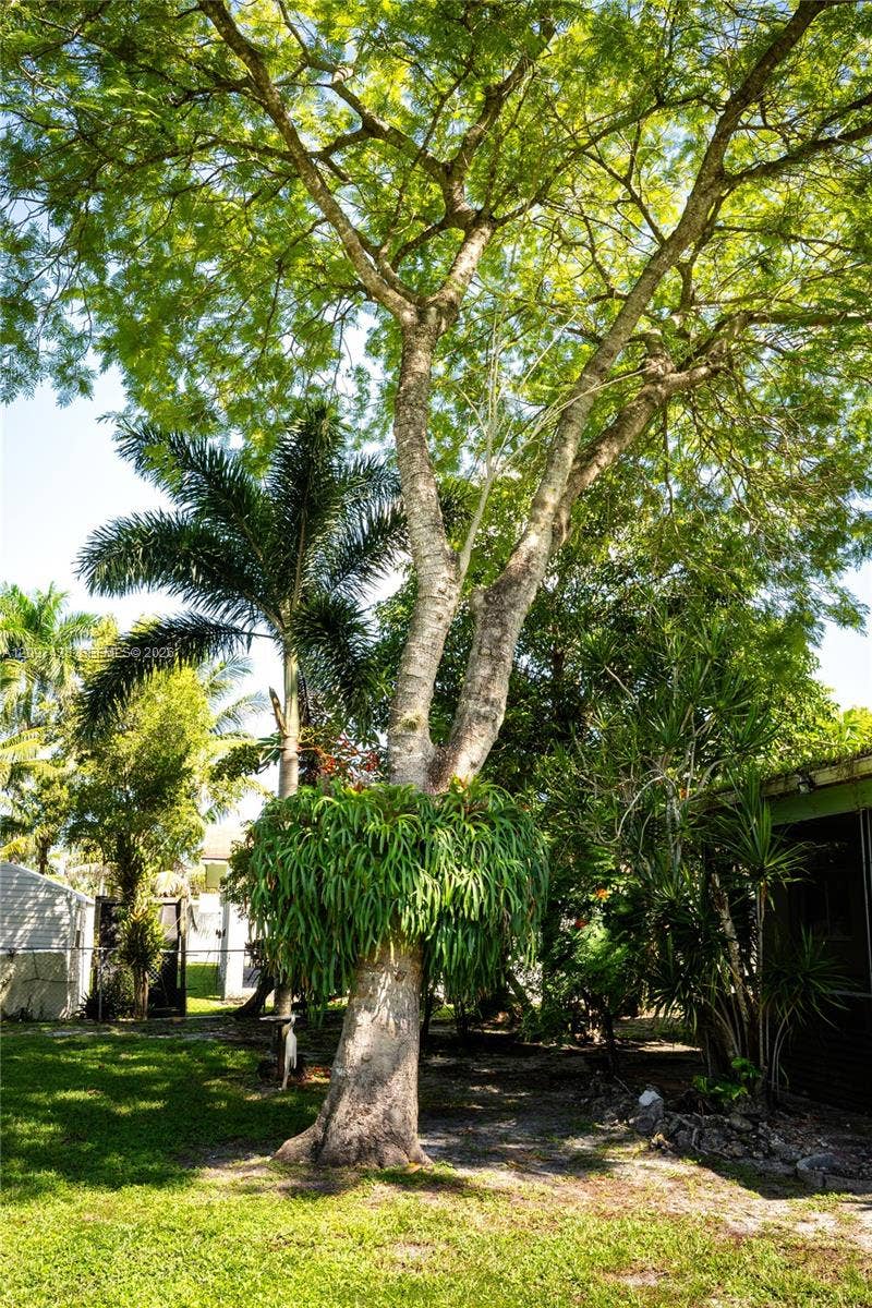 1010 NW 93rd Terrace, Pembroke Pines, FL 33024 Photo 19