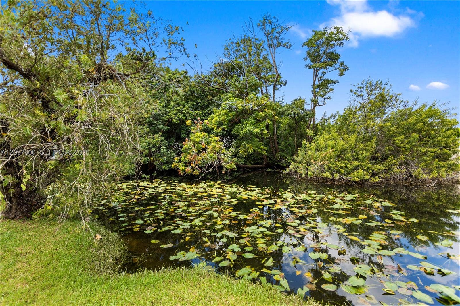 4801 SW 59th Terrace, Davie, FL 33314 Photo 4