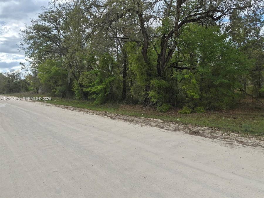 Property photo for 00 NE 4th Street, Williston, FL