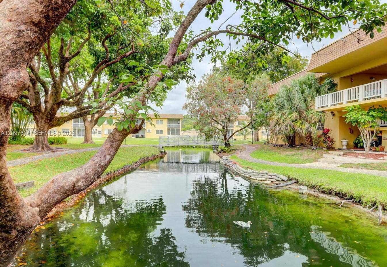 Beautiful Lake Grounds