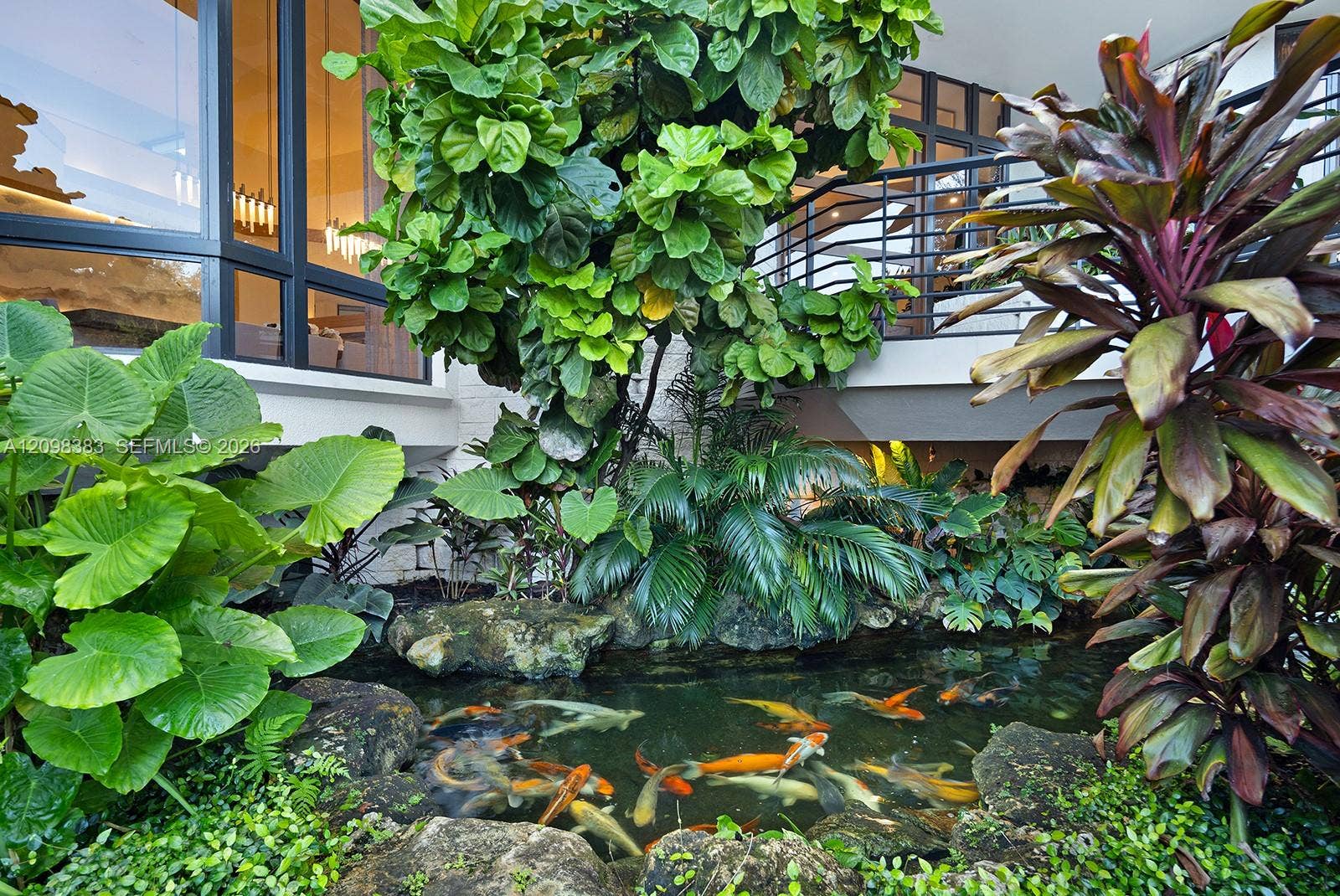 Koi Pond