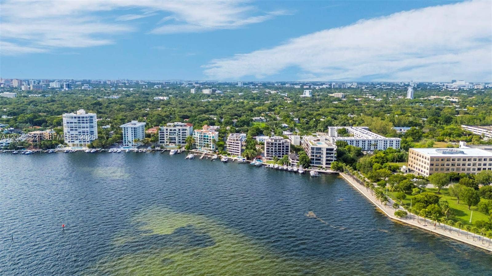 Aerial perspective featuring waterfront positioning, established tree canopy, and proximity to the shoreline