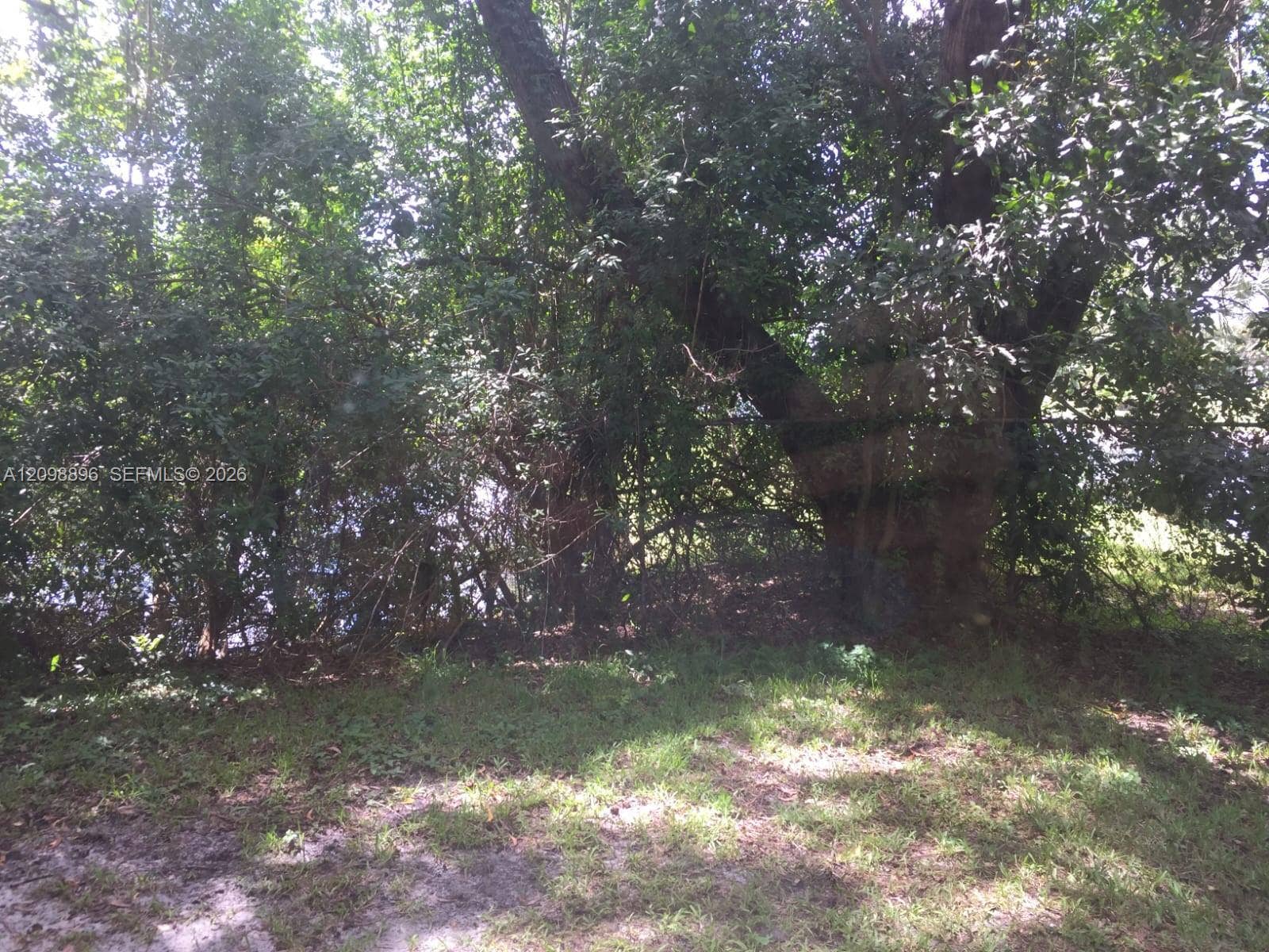4055 W Mcnab Road, #H112, Pompano Beach, FL 33069 Photo 15
