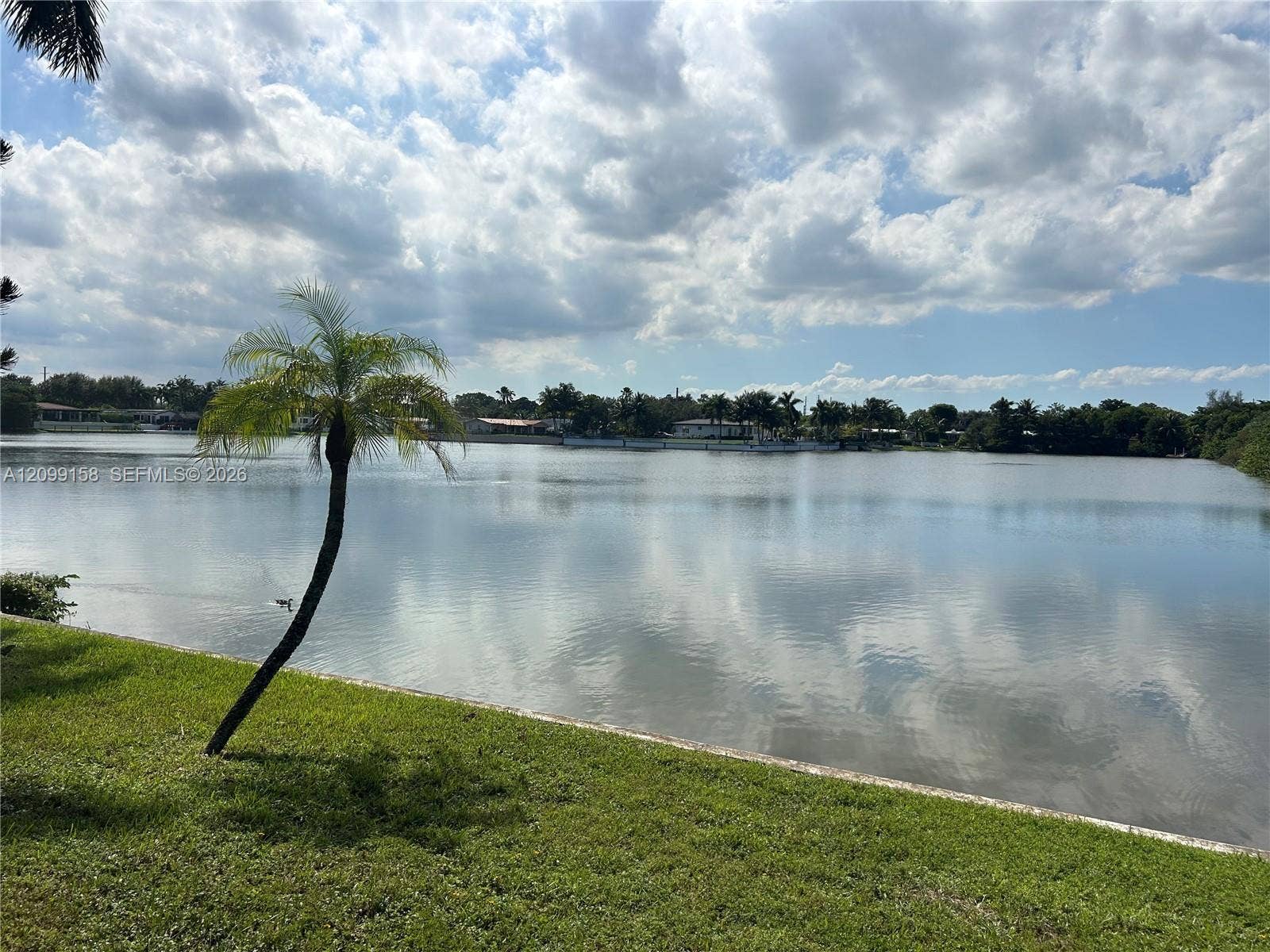 1490 Lenape Drive, Miami Springs, FL 33166 Waterfront property featuring a grass lawn, mature palm trees, and direct water access