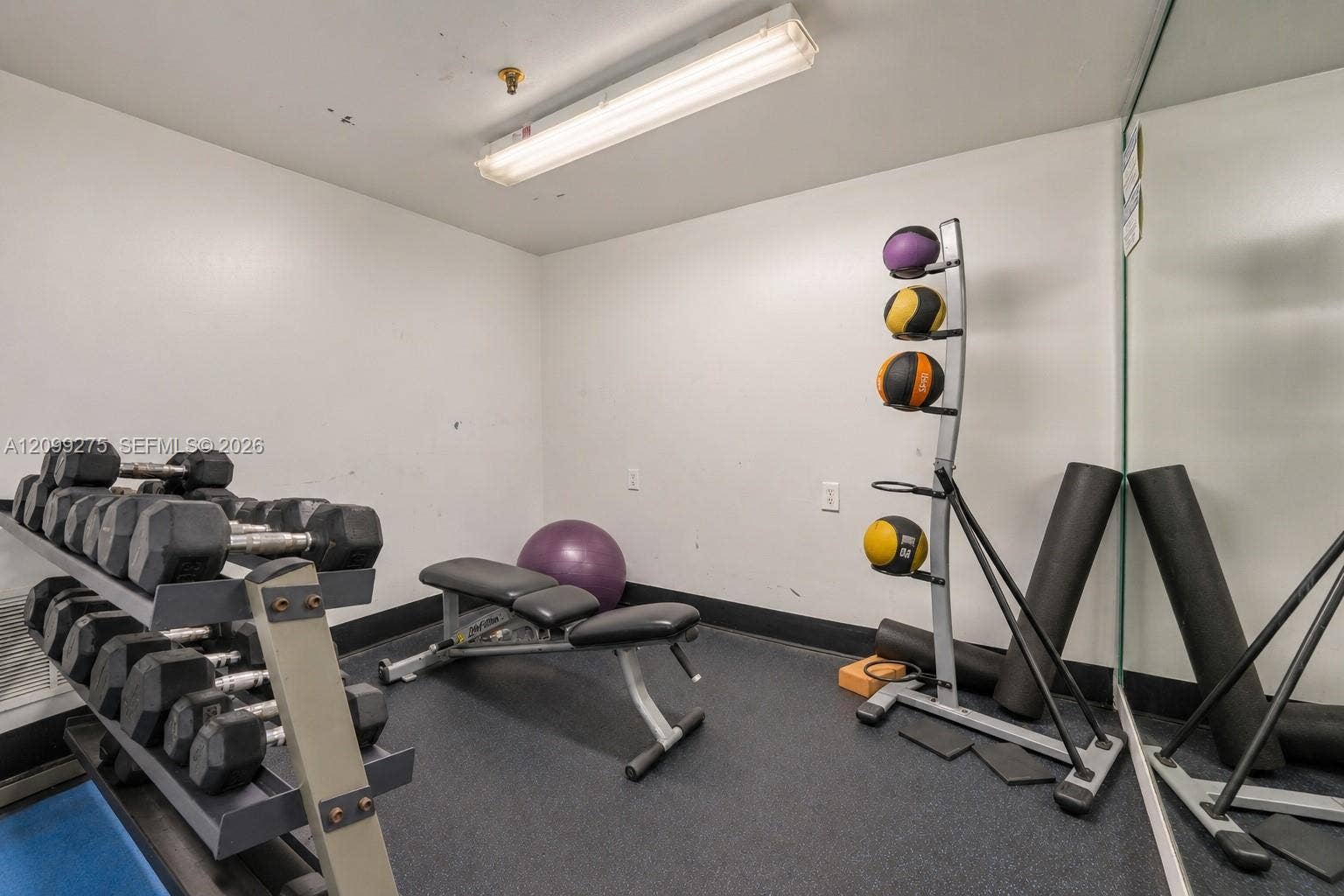 800 N Miami Avenue, #E-902, Miami, Miami, FL 33136 Fitness center featuring a dumbbell rack, adjustable workout bench, medicine balls, and foam rollers in a dedicated exercise area.