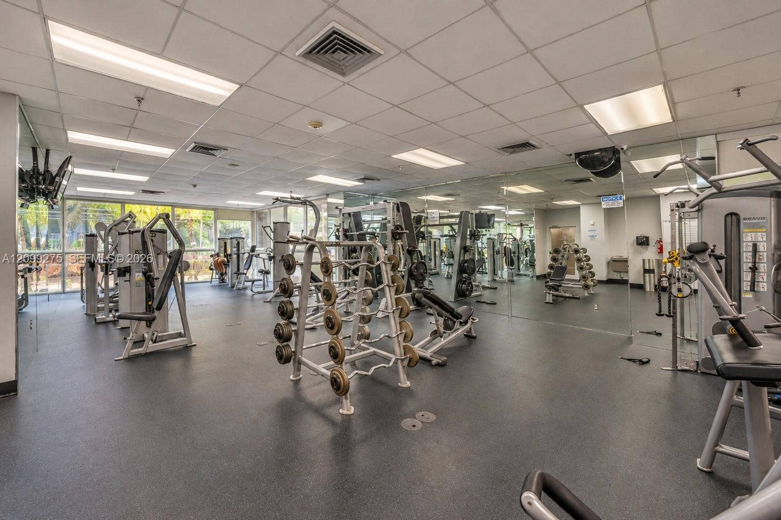 800 N Miami Avenue, #E-902, Miami, Miami, FL 33136 Well-equipped fitness center featuring a variety of strength-training machines, free weights, and mirrored walls, providing residents with a convenient space to maintain an active lifestyle.