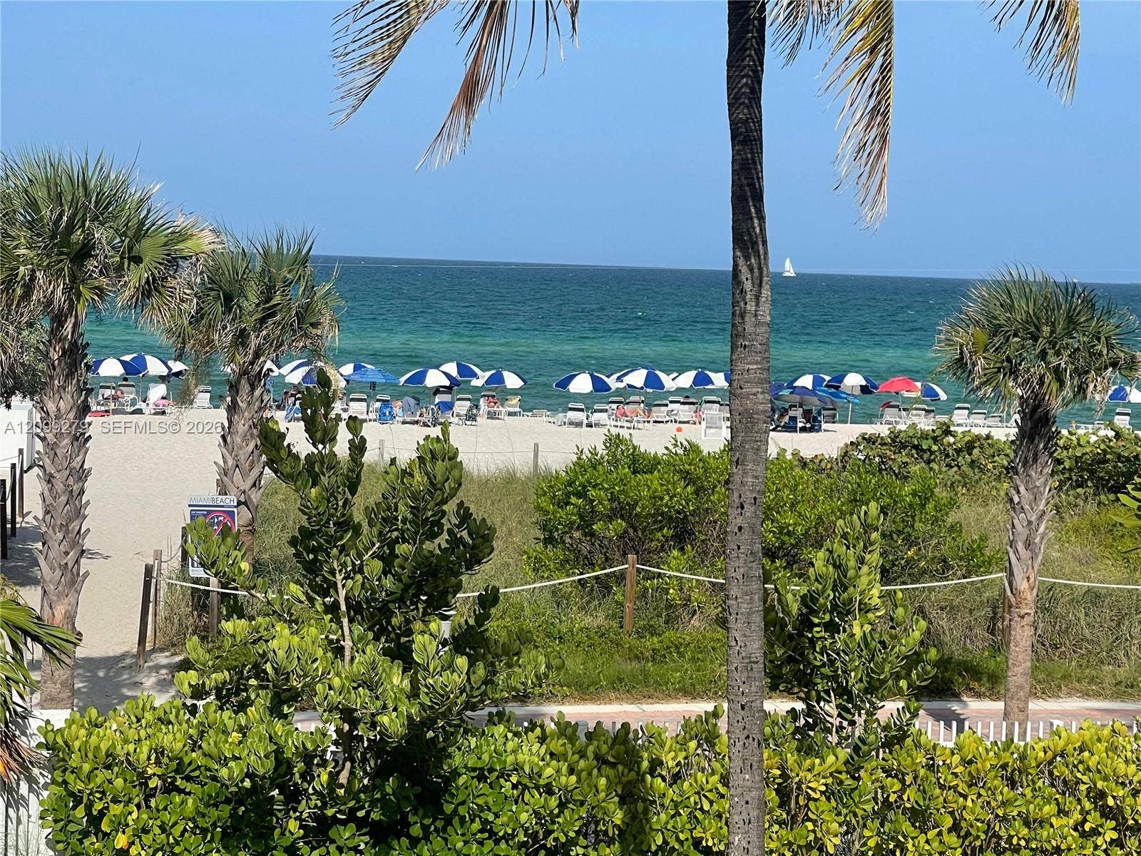 5151 Collins Avenue, #921, Miami Beach, Miami Beach, FL 33140 Oceanfront property featuring mature palm trees, native coastal landscaping, and direct access to a sandy beach