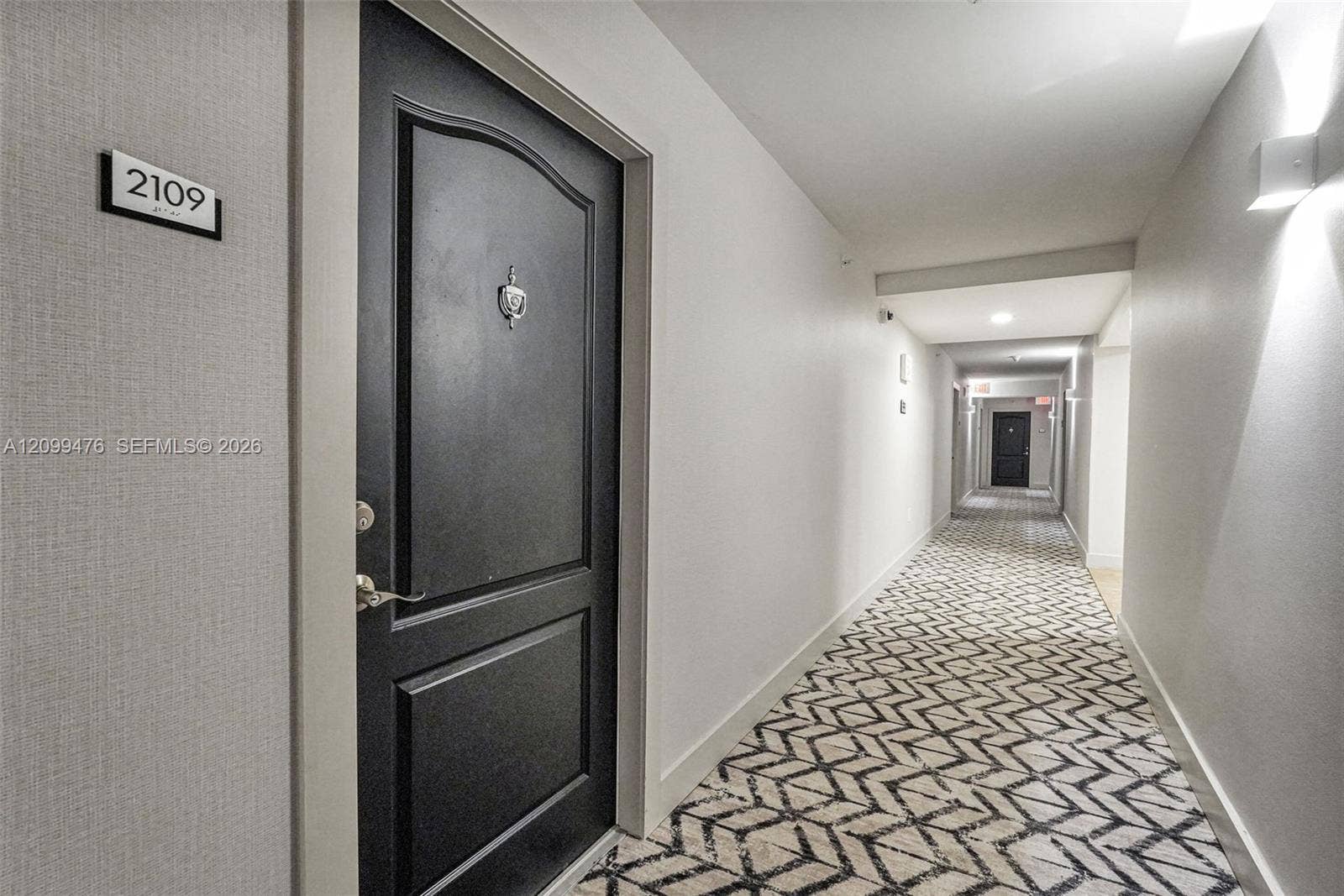 Entryway featuring a dark-toned arched panel door, brushed metal hardware, and geometric patterned carpeting