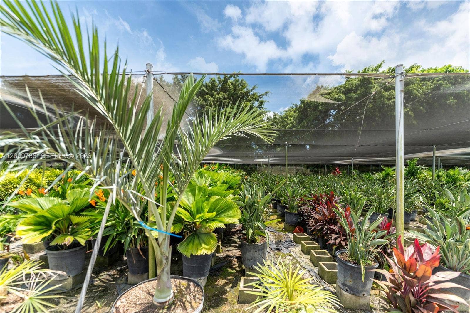 FRONT GARDEN CENTER