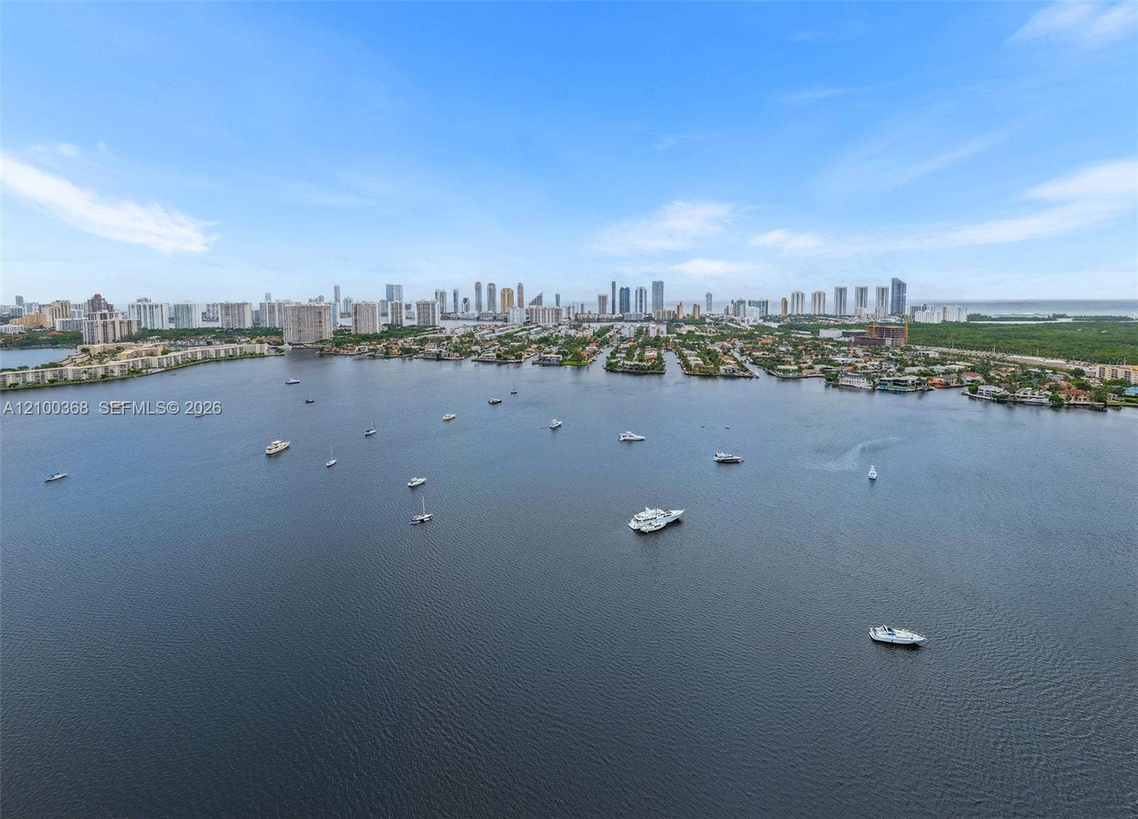 Aerial perspective featuring an expansive coastal waterway with moored watercraft and a distant city skyline