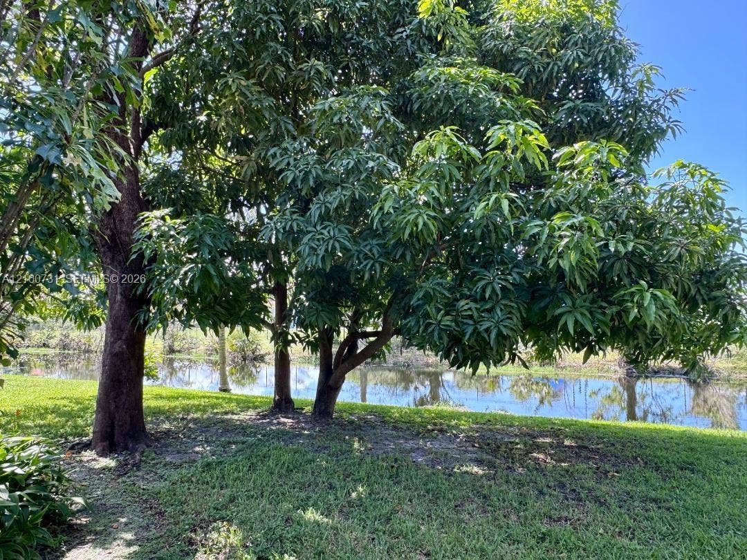 10742 La Placida Drive, #8-B1, Coral Springs, FL 33065 View from patio