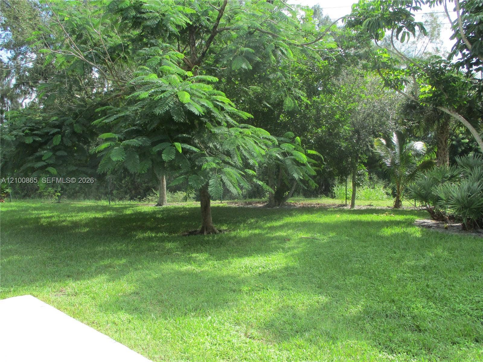 6531 SE Federal Highway, #J112, Stuart, FL 34997 View off Lanai of Royal Poinciana tress, greenery & trees