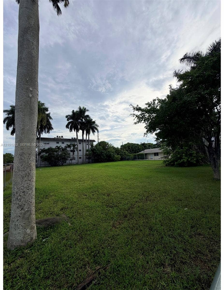 Expansive open lot featuring a level grass lawn, mature palm trees, and established perimeter foliage