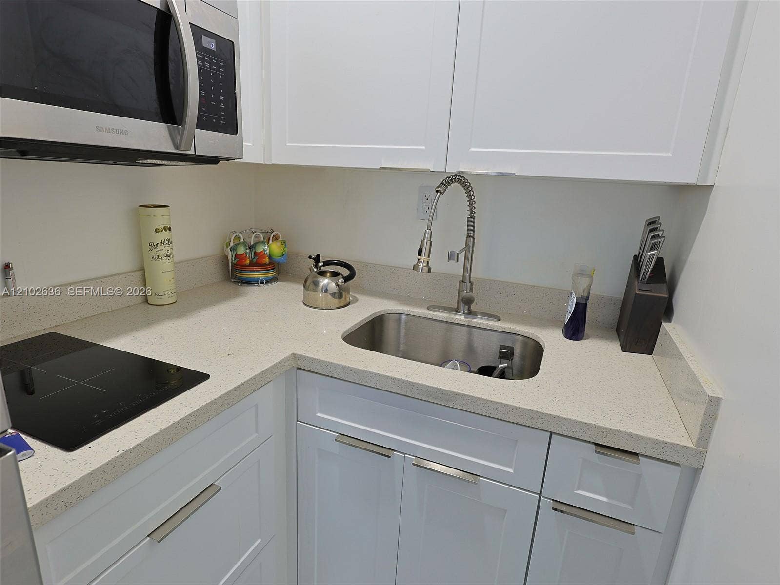 13555 SW 38th Lane, Miami, FL 33175 Photo 35