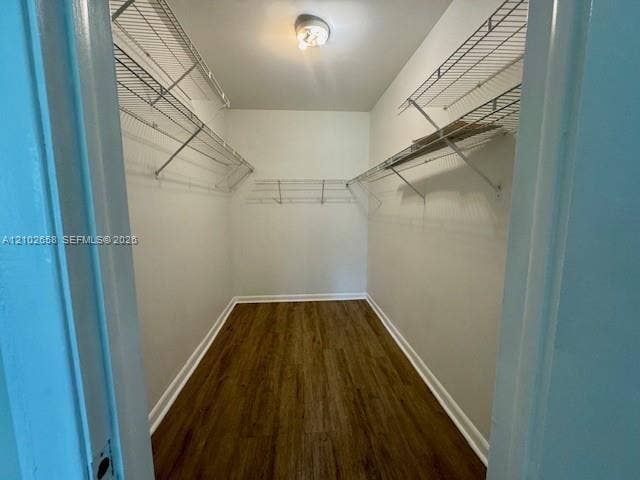 Walking Closet