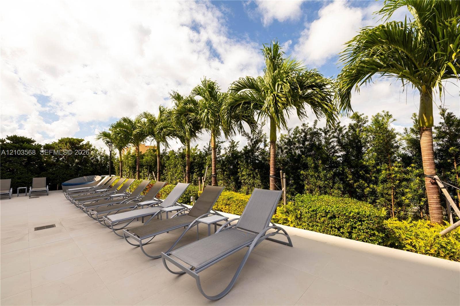 7901 Hispanola Avenue, #801, North Bay Village, FL 33141 Outdoor terrace featuring large-format light-toned stone paving, mature palm trees, and dense evergreen landscaping