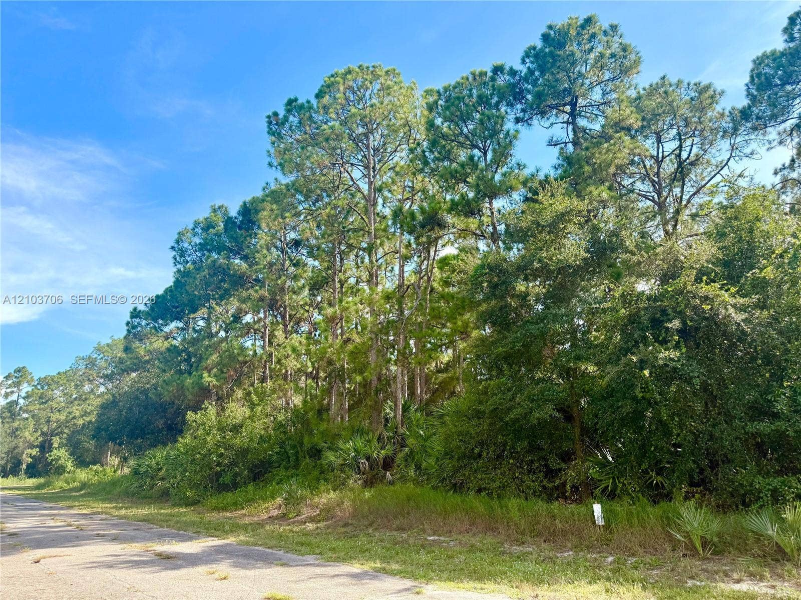 106 Rosemont Place, LaBelle, Labelle, FL 33935 Photo 3