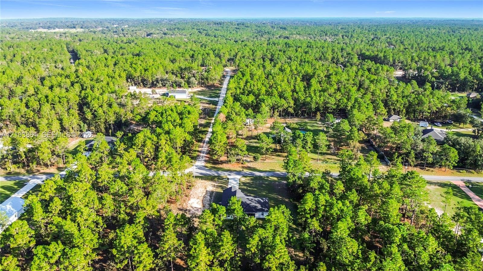 Aerial perspective of a sprawling lot featuring dense mature forest canopy, paved road access, and clearings for residential structures