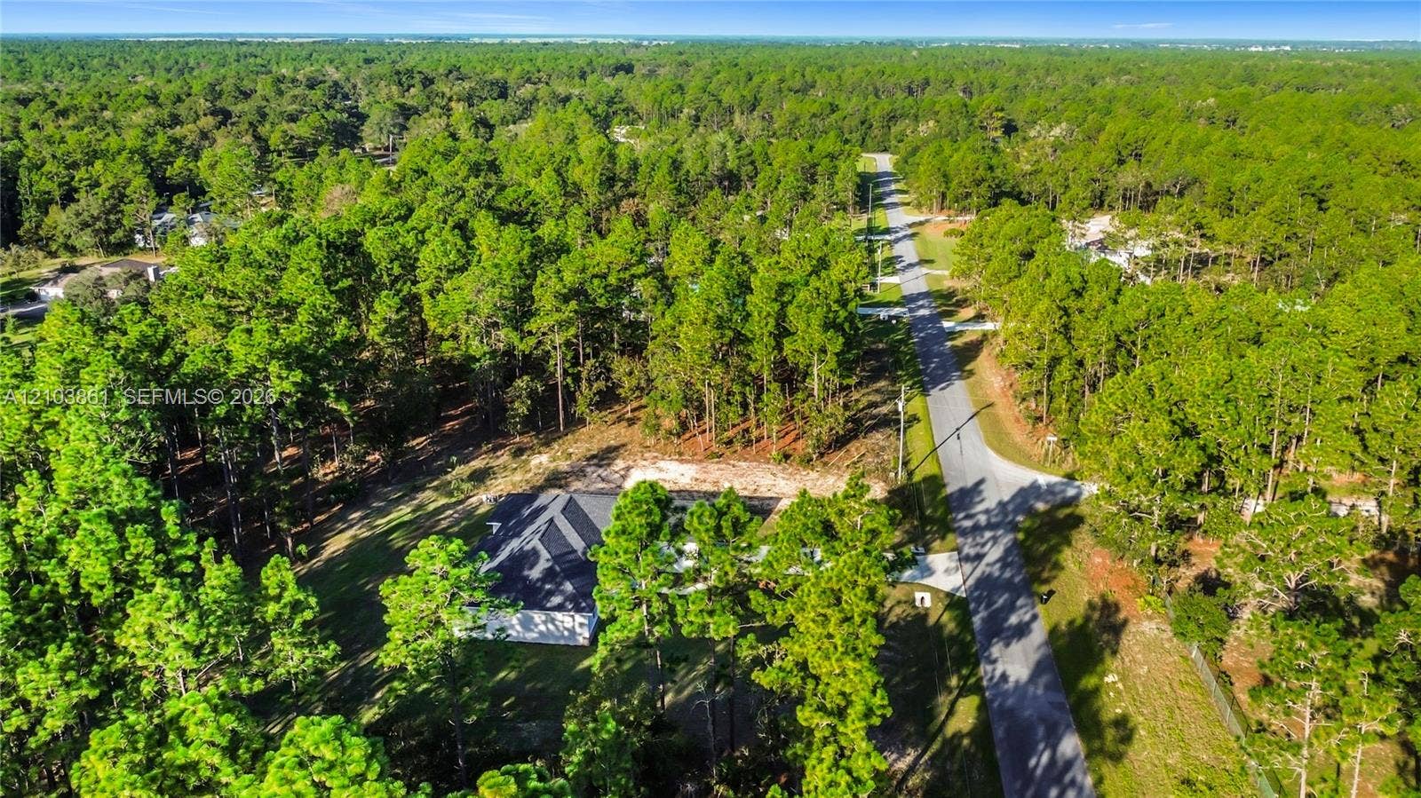 Aerial perspective of a property lot featuring mature pine trees and direct paved road access