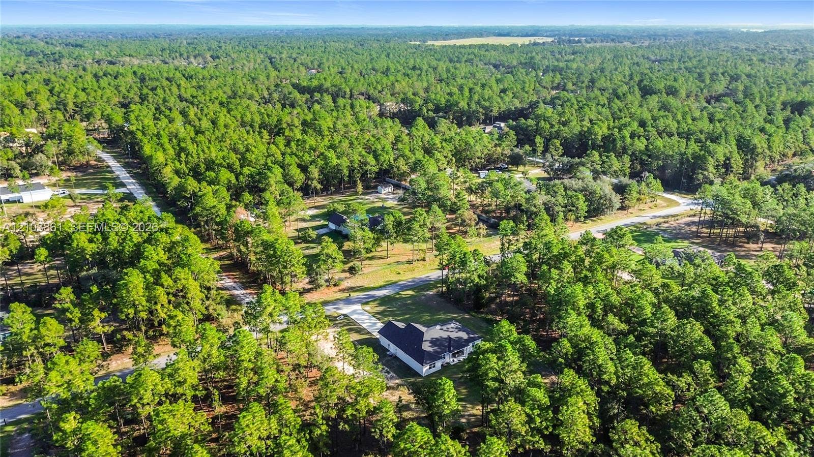 Aerial perspective of a detached residential property situated on a wooded lot featuring extensive evergreen tree coverage, a paved driveway, and a shingled roof structure