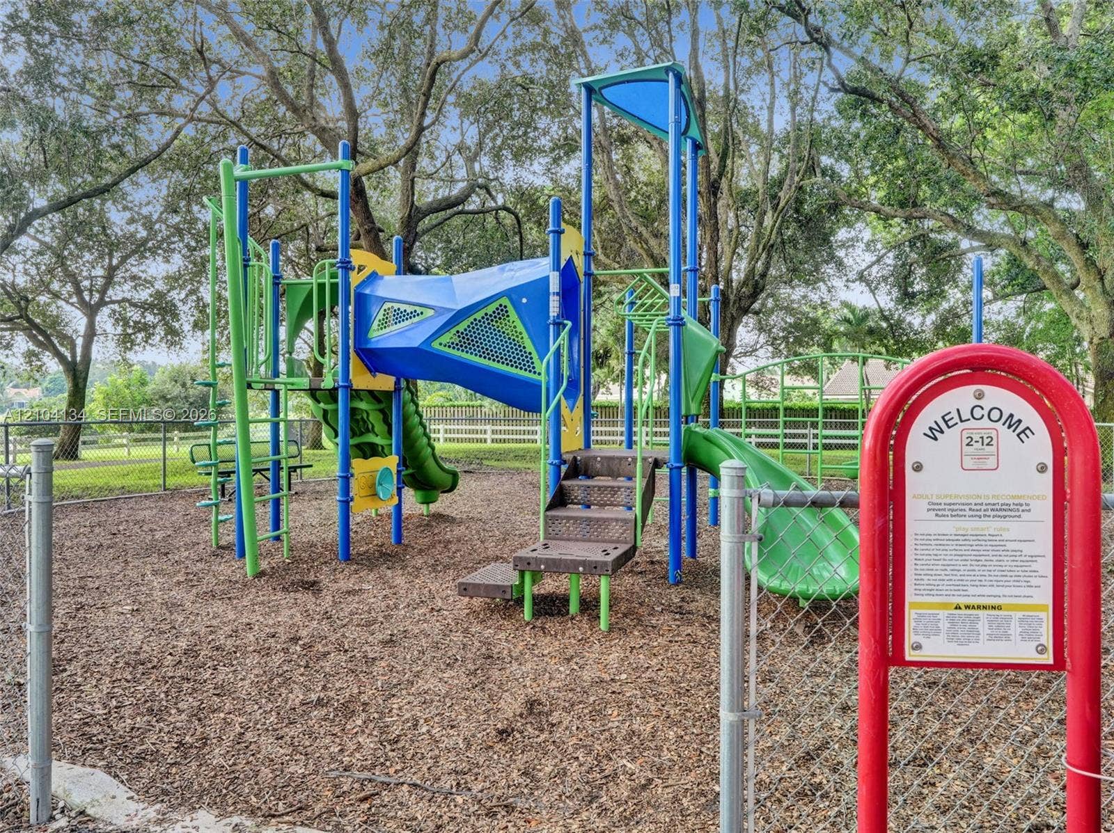 Jungle Gym at the Park!