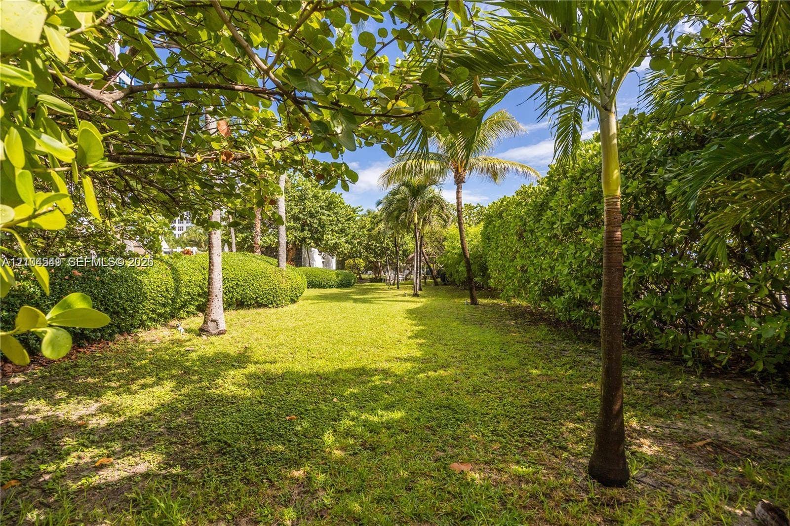 5055 Collins Avenue, #12F, Miami Beach, FL 33140 Lush green lawn with mature palm trees and manicured hedges, offering ample shade under a bright blue sky