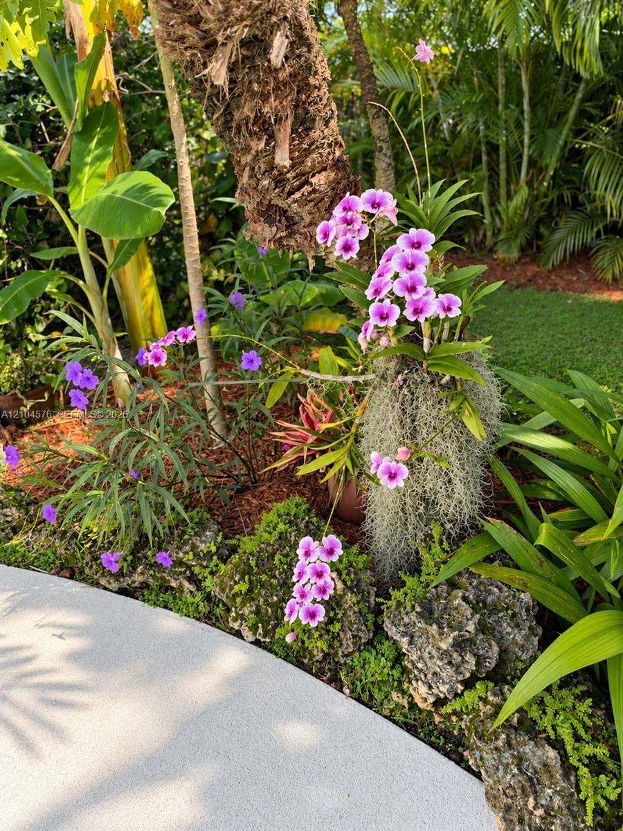 9755 SW 54th Street, Miami, Miami, FL 33165 Landscaped garden featuring mature palm trees, flowering orchids, natural stone borders, and concrete walkway