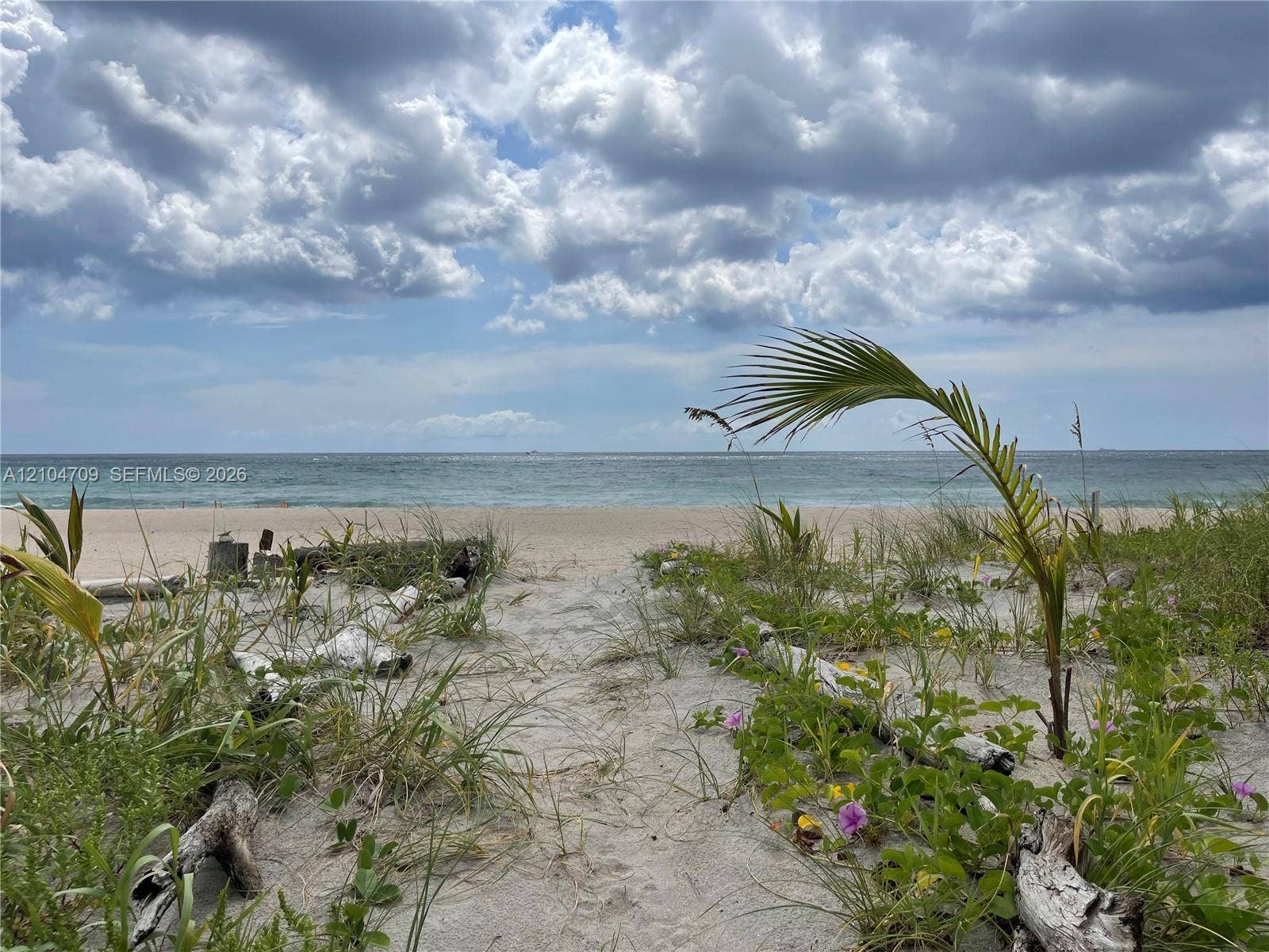 1507 S Ocean Boulevard, #4, Boca Raton, Boca Raton, FL 33432 Photo 32