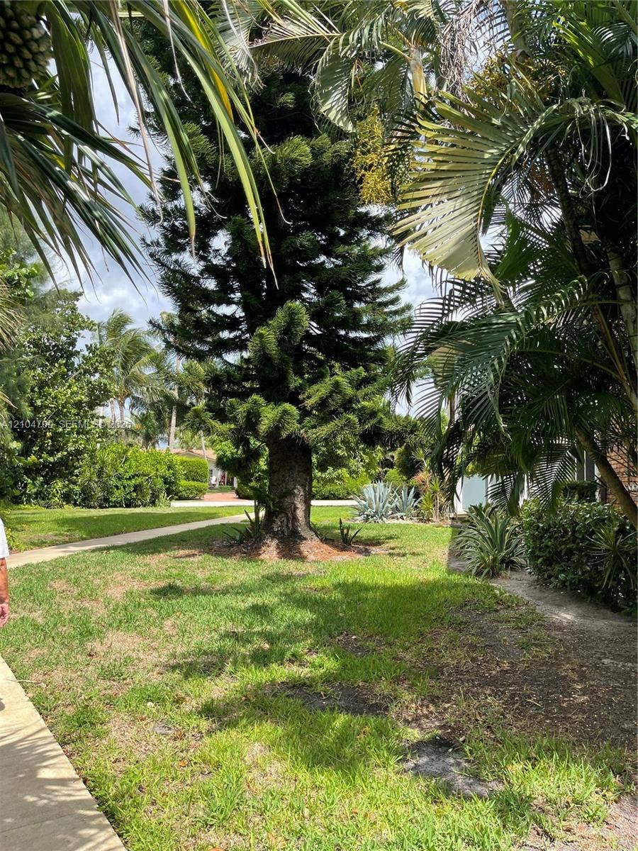 1507 S Ocean Boulevard, #4, Boca Raton, Boca Raton, FL 33432 Photo 24