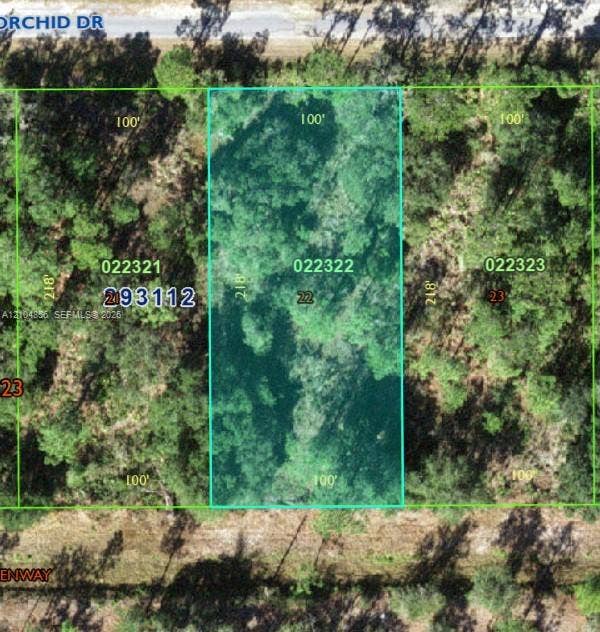 Property photo for 905 Orchid Drive, FL