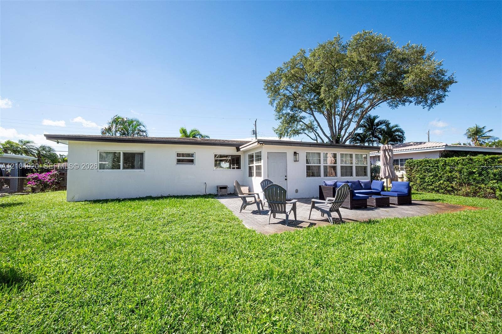 Rear exterior featuring a concrete patio, white stucco siding, multi-pane windows, and a mature tree providing canopy