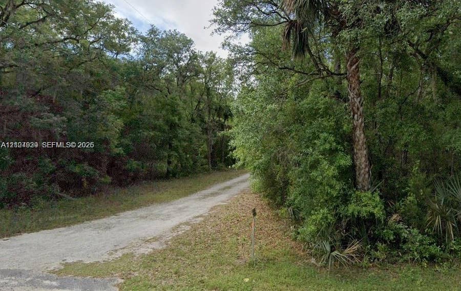 Property photo for Lots 34 & 59 NE Lots 34 & 59 138th Court, Fort Mc Coy, FL