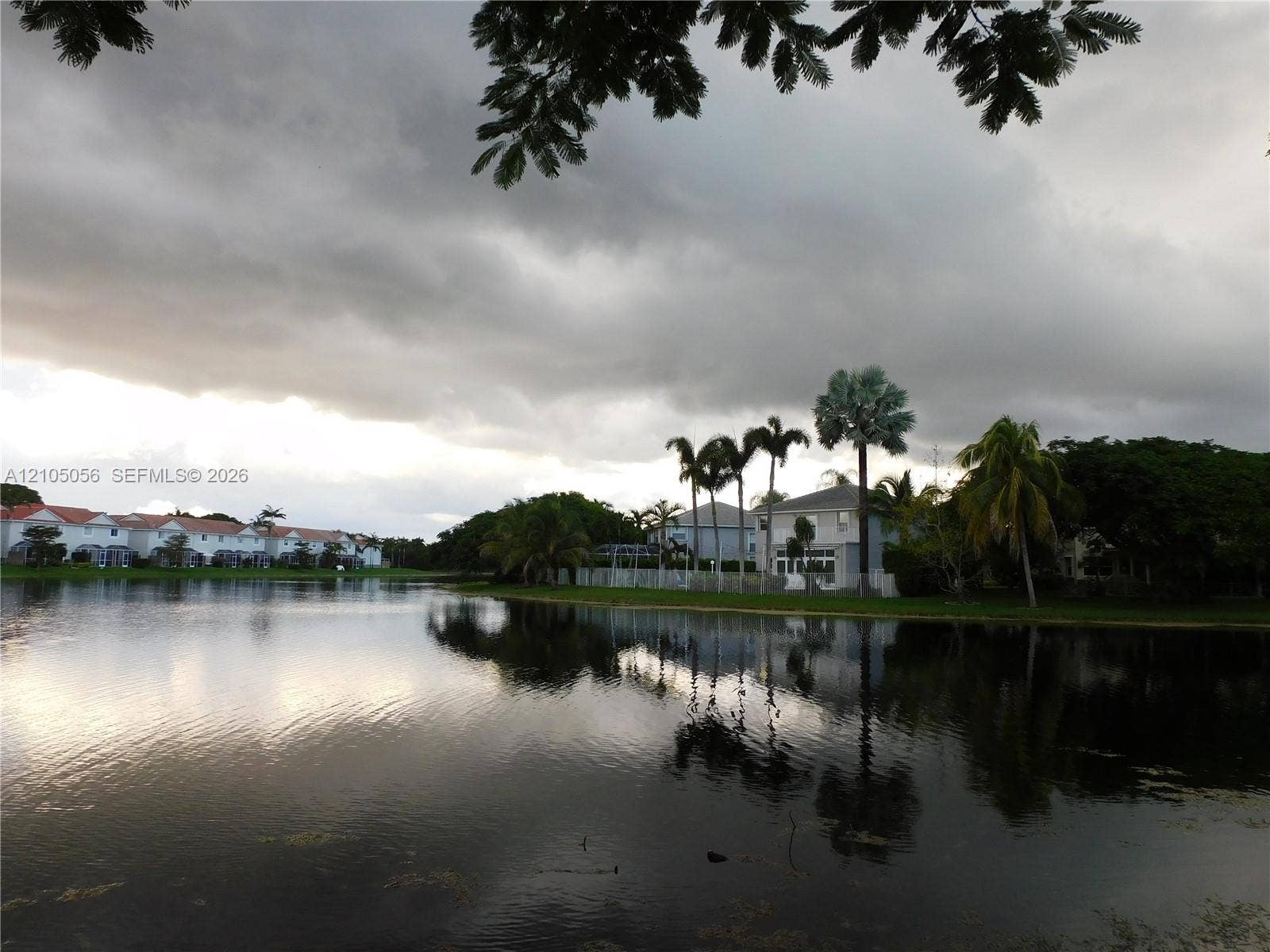 16729 Amber Lake, Weston, FL 33331 Waterfront property featuring mature palm trees and residential architecture