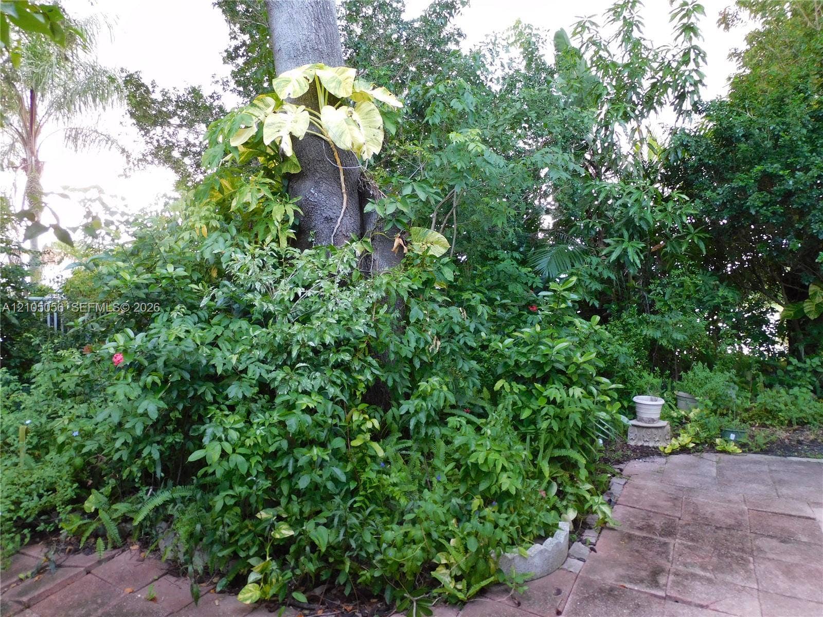 16729 Amber Lake, Weston, FL 33331 Lush landscaping featuring mature trees and varied foliage